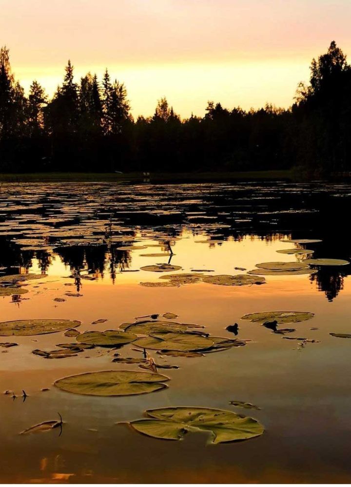 vaikon loman ilmakuva