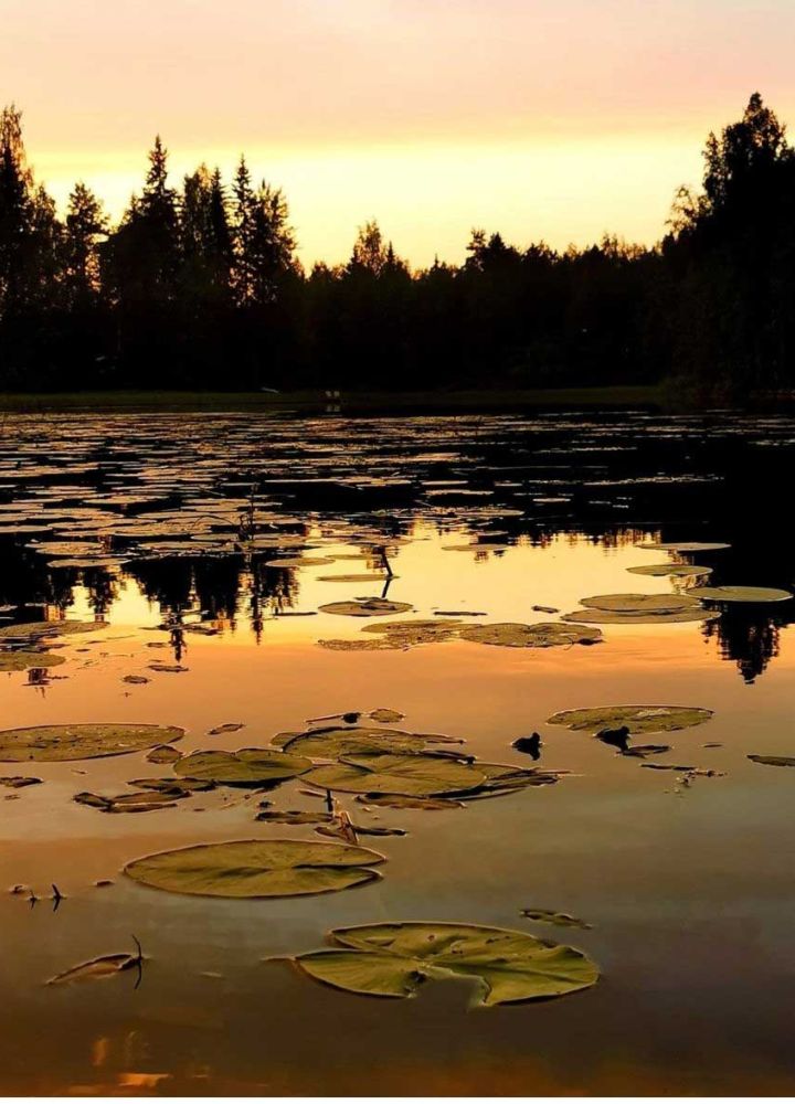 vaikon loman ilmakuva